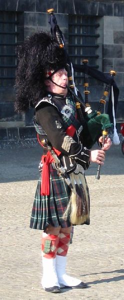 Soubor:Bagpipe performer.jpg