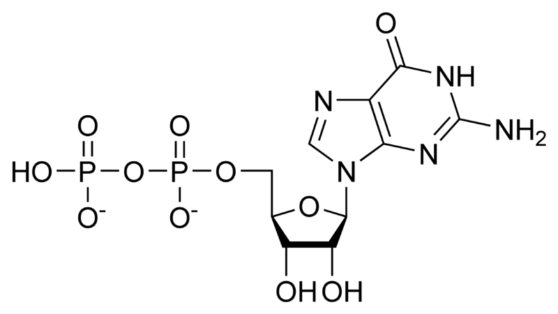 Soubor:GDP chemical structure.png