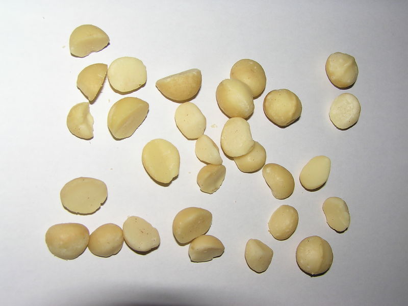 Soubor:Natural Macadamias Premium 02.jpg