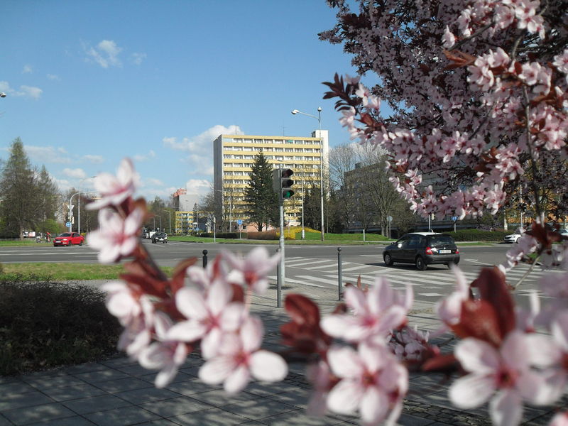 Soubor:Karviná 01.jpg