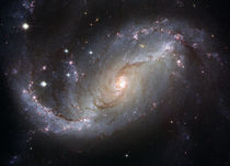 NGC 1672 HST.jpg