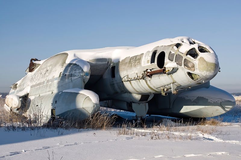 Soubor:Beriev VVA-14 in 2010.jpg