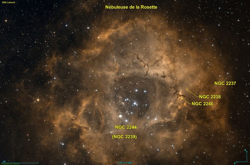 Soubor:NGC 2237 Rosette DSS.jpg