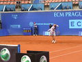 DCibulkova-ECM12.jpg