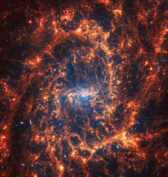 Soubor:NGC 2835-NASAFlickr.png