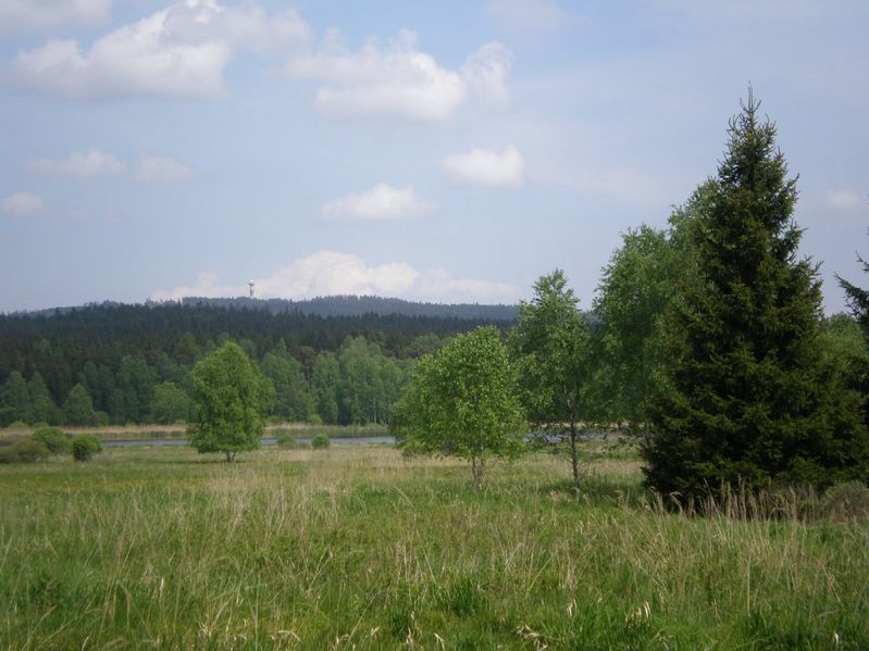 Soubor:Praha (862m) nad Padrtí.JPG