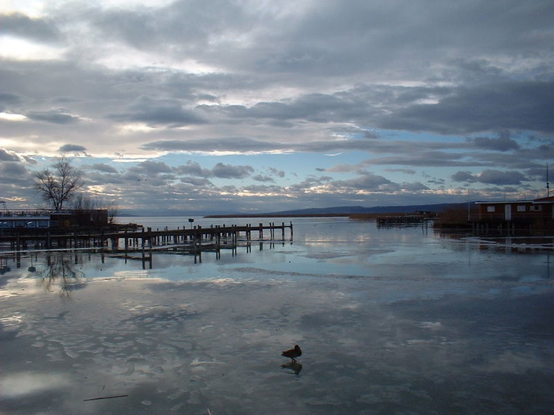 Soubor:Neusiedler See im Winter.jpg