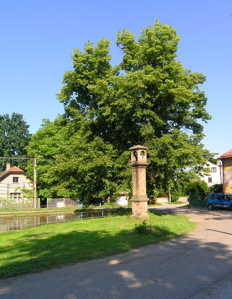 Soubor:Radějovice, Common.jpg