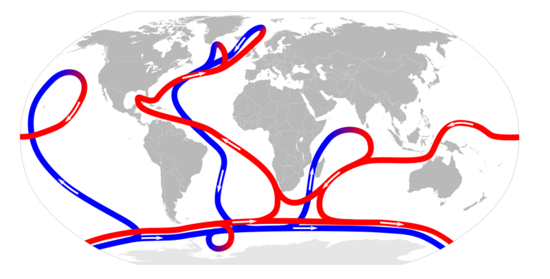 Soubor:Thermohaline Circulation.png