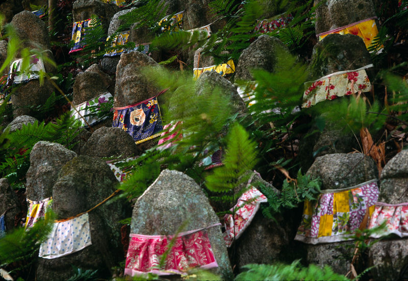 Soubor:KiyomizuderaStatuettesFerns.jpg