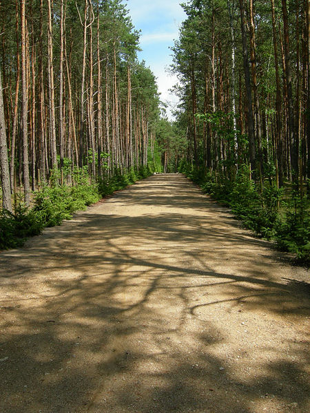 Soubor:Wikipedia-sobibor-2.jpg