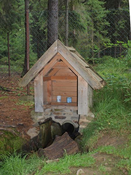 Soubor:Knížecí Studánky, pramen.jpg