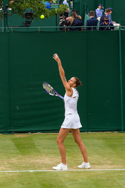 Soubor:Wimbledon 2021-013-ASFlickr.jpg