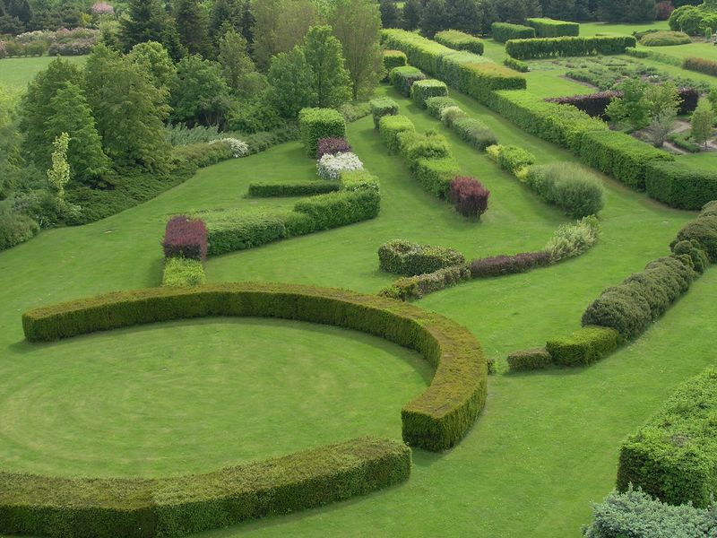 Soubor:Dendrological garden8.jpg