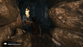 Tomb Raider GOTY-2013-075.png