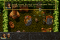 ALBION-DOSBox-021.png