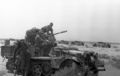 Bundesarchiv Bild 101I-782-0020-16A, Nordafrika, Halbkettenfahrzeug mit leichter Flak.jpg