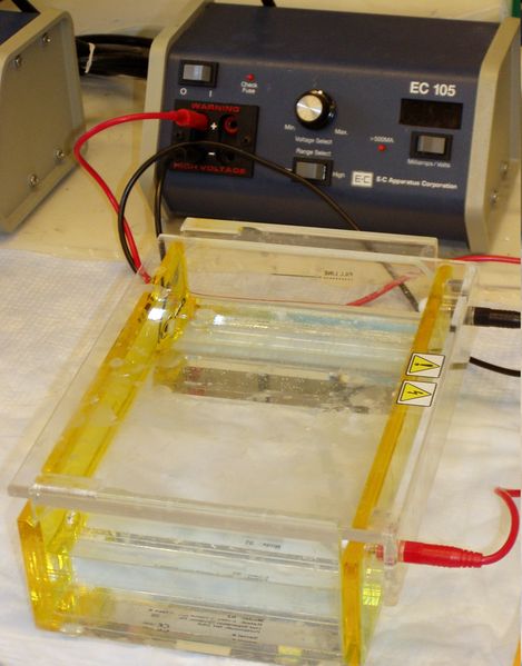 Soubor:Gel electrophoresis apparatus.JPG