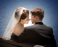 Backlight-wedding.jpg