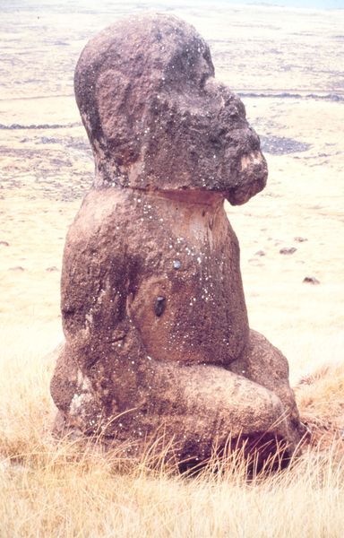 Soubor:Moai Easter Island geod0095.jpg