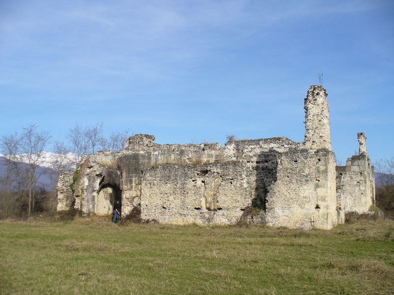 Soubor:Lykhny palace ruins.jpg