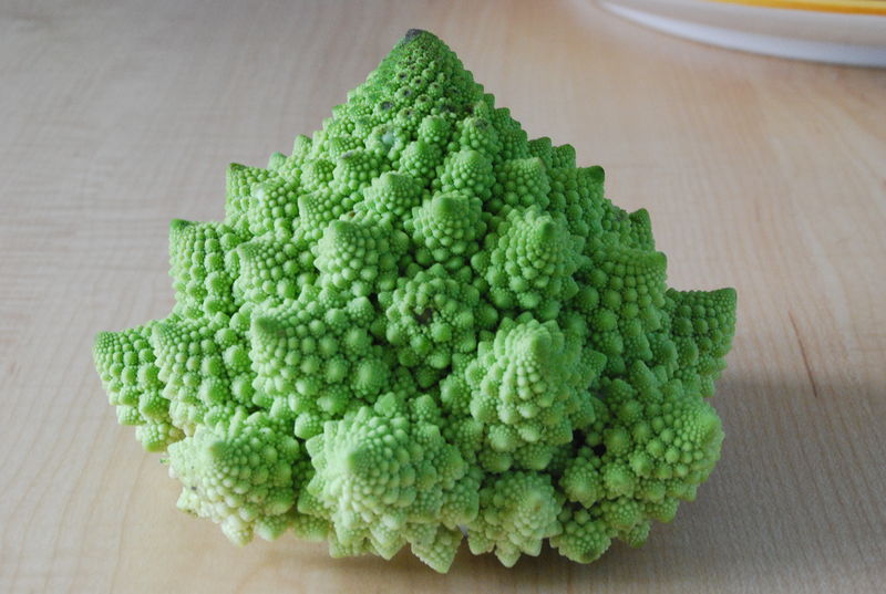 Soubor:Cauliflower Fractal AVM.JPG