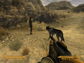 Fallout New Vegas Ultimate-2020-022.png