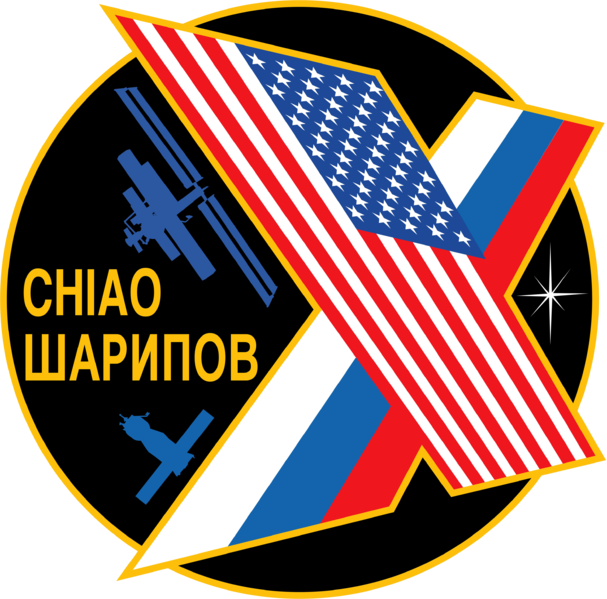 Soubor:Expedition 10 insignia.png