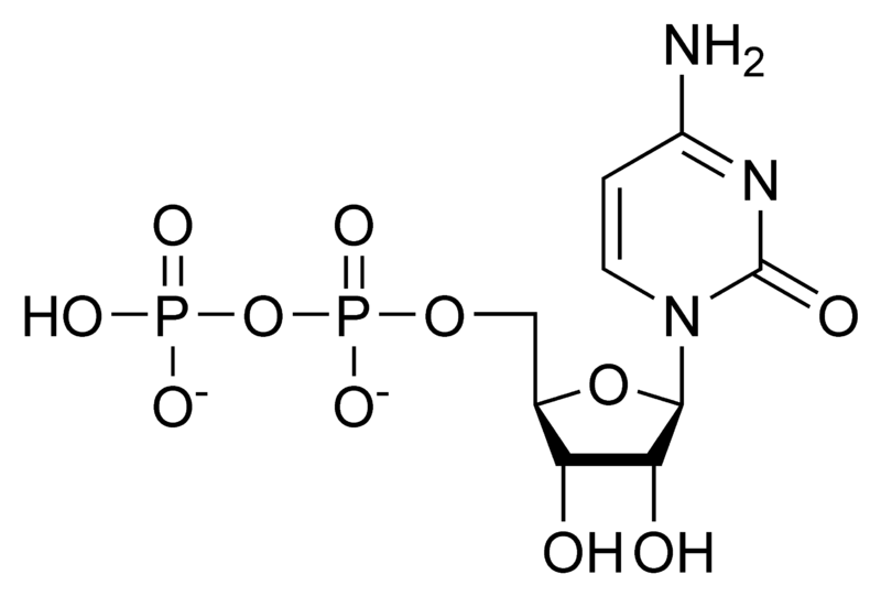 Soubor:CDP chemical structure.png