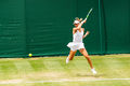 Wimbledon 2021-024-ASFlickr.jpg