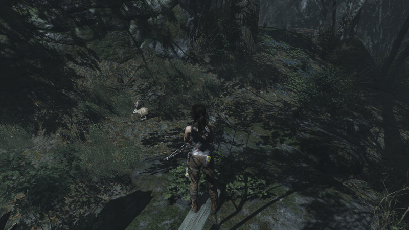 Soubor:Tomb Raider GOTY-2013-033.png