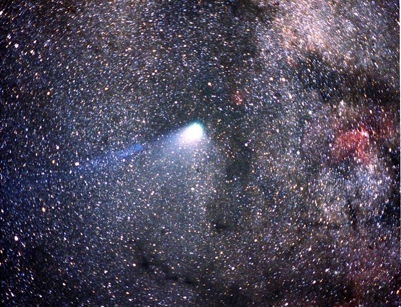 Soubor:Comet Halley.jpg