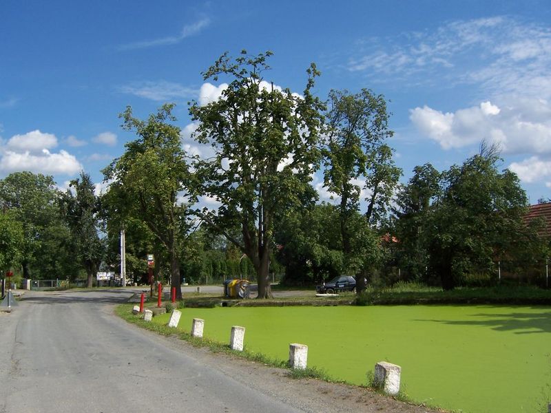 Soubor:Březová-Oleško, Březová, náves.jpg