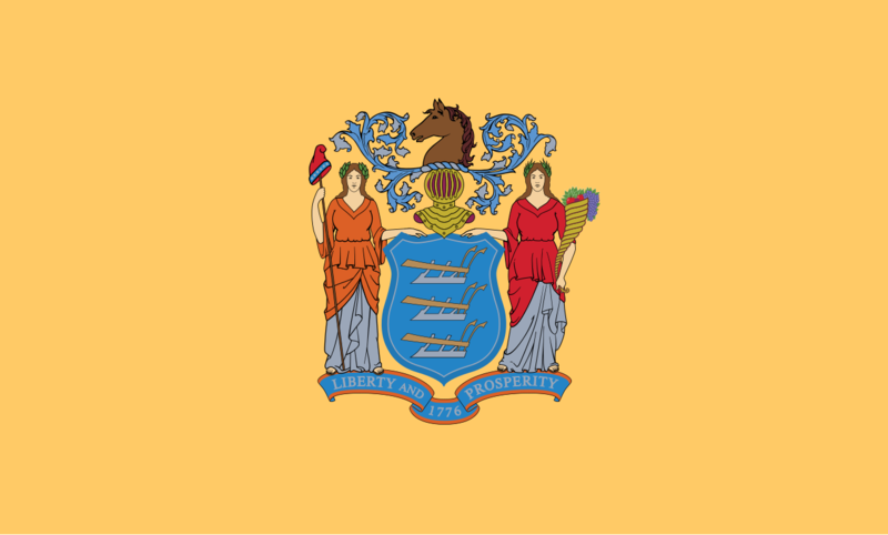 Soubor:Flag of New Jersey.png