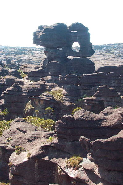 Soubor:Roraima-Tepui Plateau.jpg