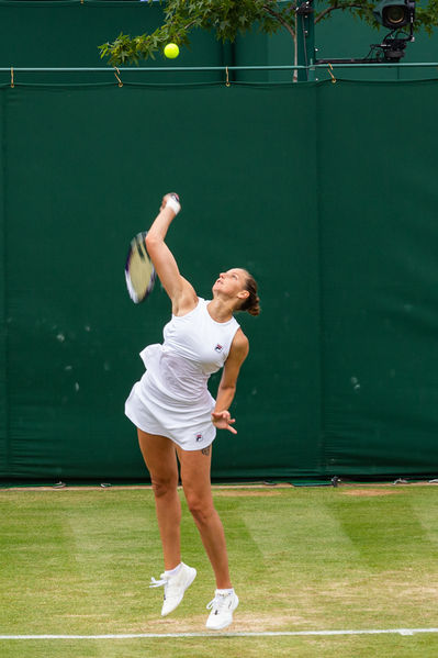 Soubor:Wimbledon 2021-019-ASFlickr.jpg