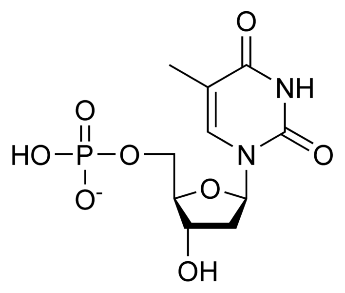 Soubor:DTMP chemical structure.png