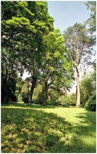 Soubor:Zámecký park.JPG