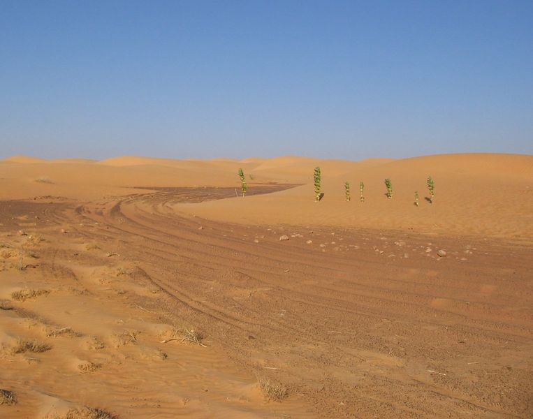 Soubor:Dakar traces mauritanie.jpg