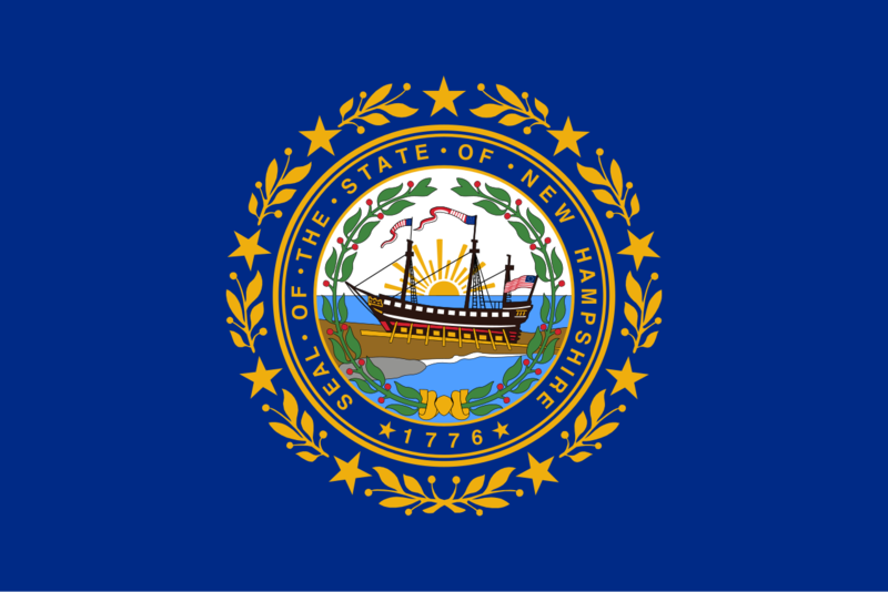 Soubor:Flag of New Hampshire.png