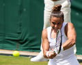 Maria Sakkari (49745030751).jpg