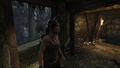 Tomb Raider GOTY-2013-019.png