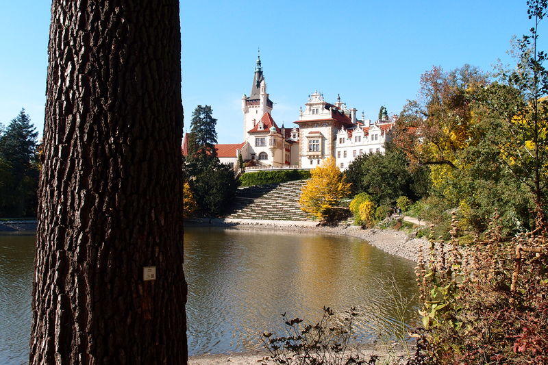 Soubor:Zámecký park Průhonice-September-2017-58.JPG