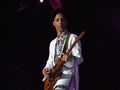 Prince!-Flickr-2008-1.jpg