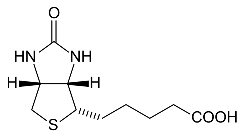 Soubor:Biotin structure.png