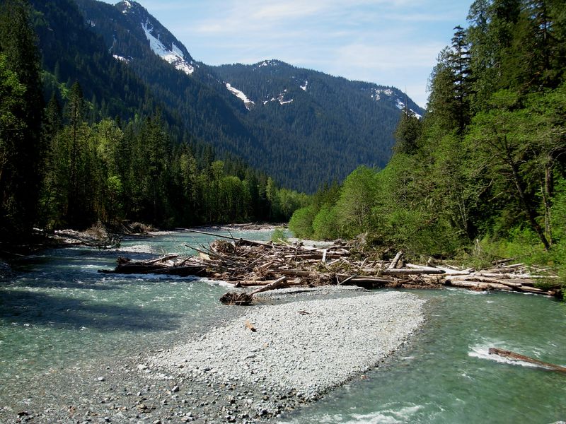 Soubor:Baker River Trail.jpg