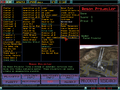 Imperium Galactica DOSBox-174.png