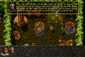 ALBION-DOSBox-020.png