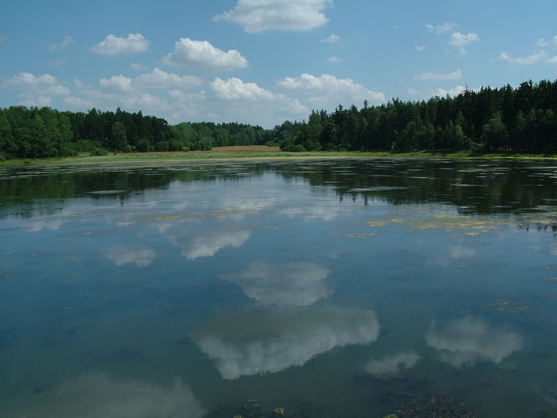 Soubor:040807 Jesenice Krtsky rybnik.JPG