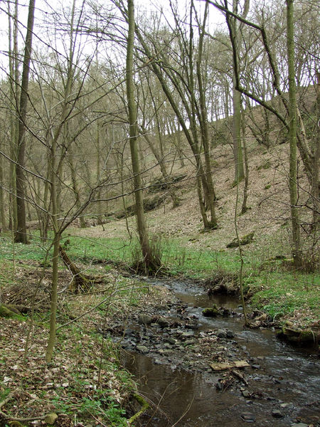 Soubor:Dobřichovice, Všenorský potok.JPG